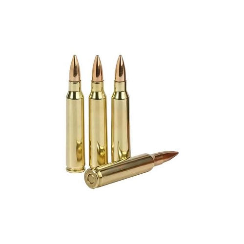 Amunicja PMC .223 Rem. FMJ 55g ( seria 223A-1218 )